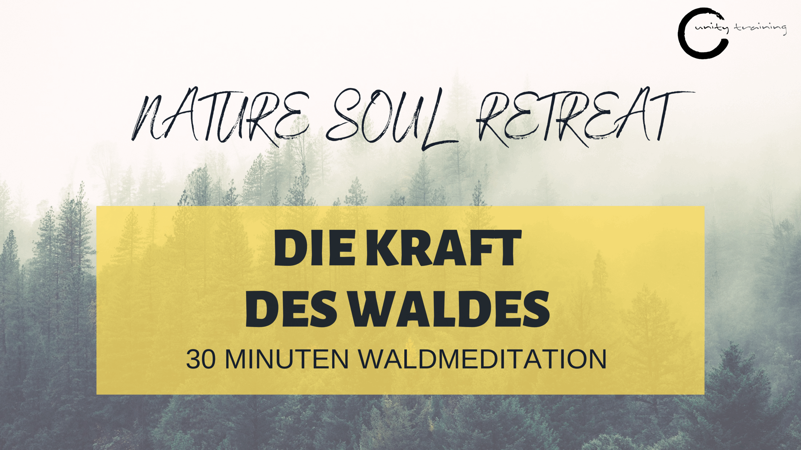 Nature Soul Retreat Die Kraft des Waldes 30 Minuten Waldmeditation